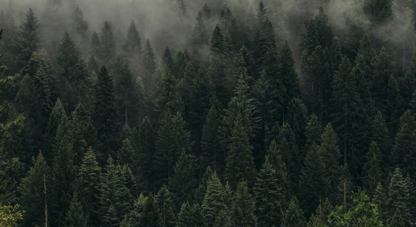 Deep Woods Managed Apps product overview